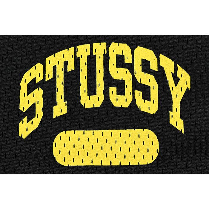 ステューシー ハーフパンツ STUSSY メンズ Arch Mesh (stussy short 