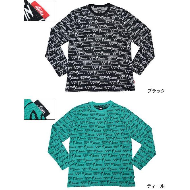 STUSSY（ステューシー） STUSSY Jamaica カットソー 長袖(stussy crew 