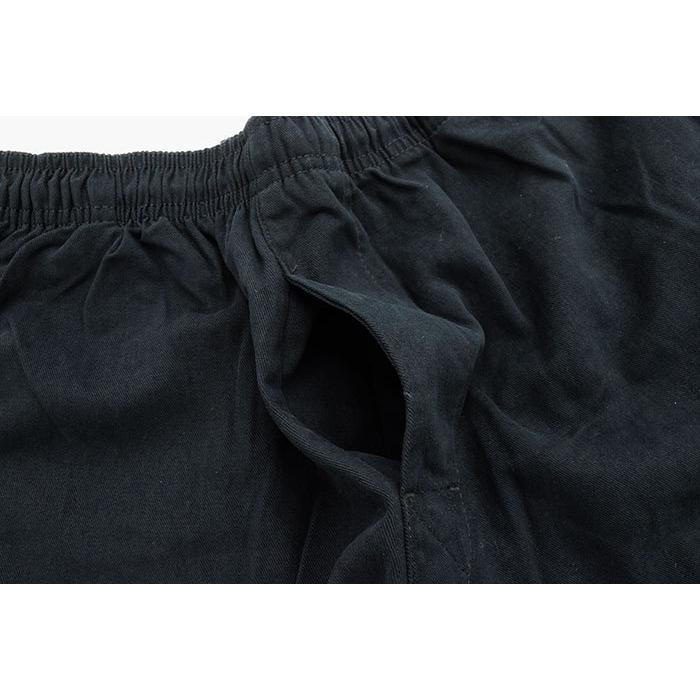 ステューシー パンツ STUSSY メンズ Modern Brushed Beach ( stussy pant イージーパンツ ビーチパンツ ボトムス 116006 USAモデル 正規 )｜icefield｜11