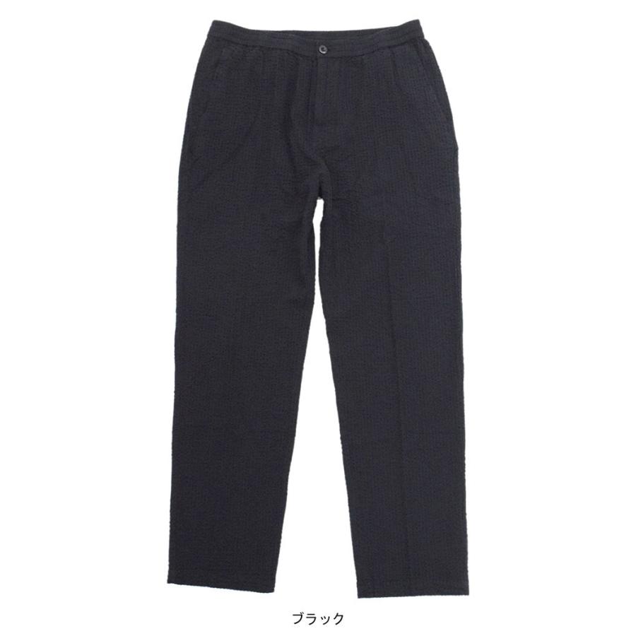STUSSY ステューシー パンツ メンズ Seersucker Bryan (stussy
