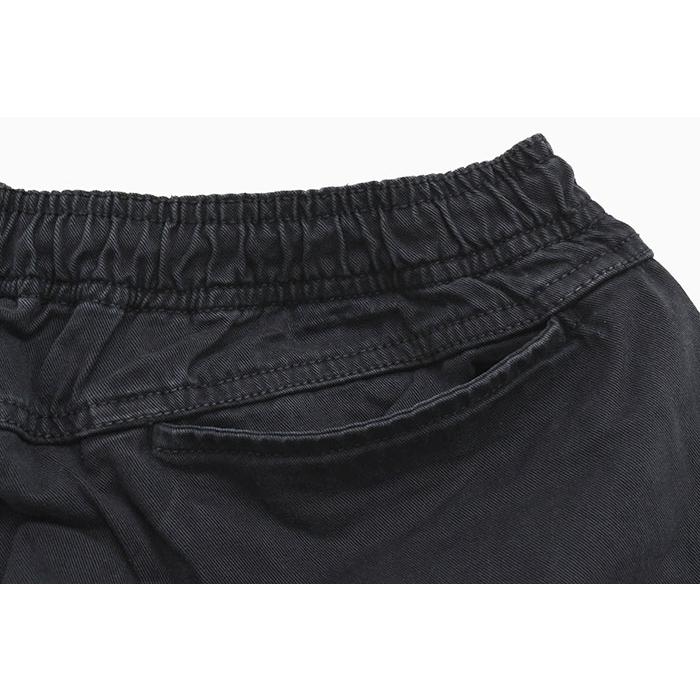 STUSSY（ステューシー） パンツ メンズ Cotton Twill Beach ( stussy