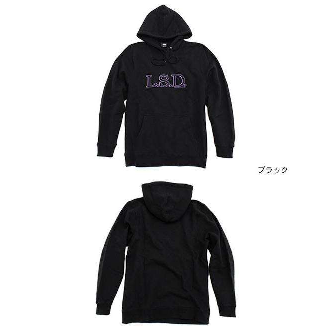 STUSSY パーカー STUSSY ステューシー パーカー プルオーバー メンズ Back Hood