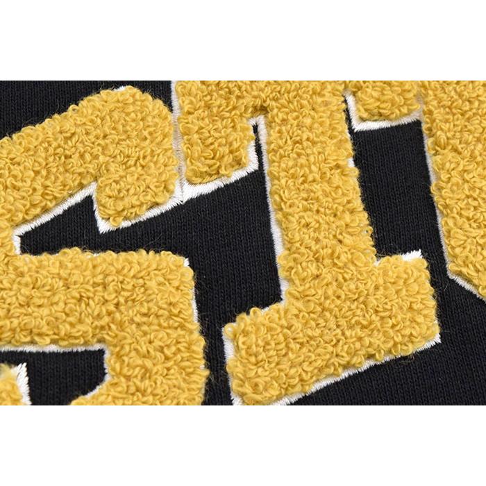 STUSSY（ステューシー） プルオーバー パーカー メンズ Chenille Arch
