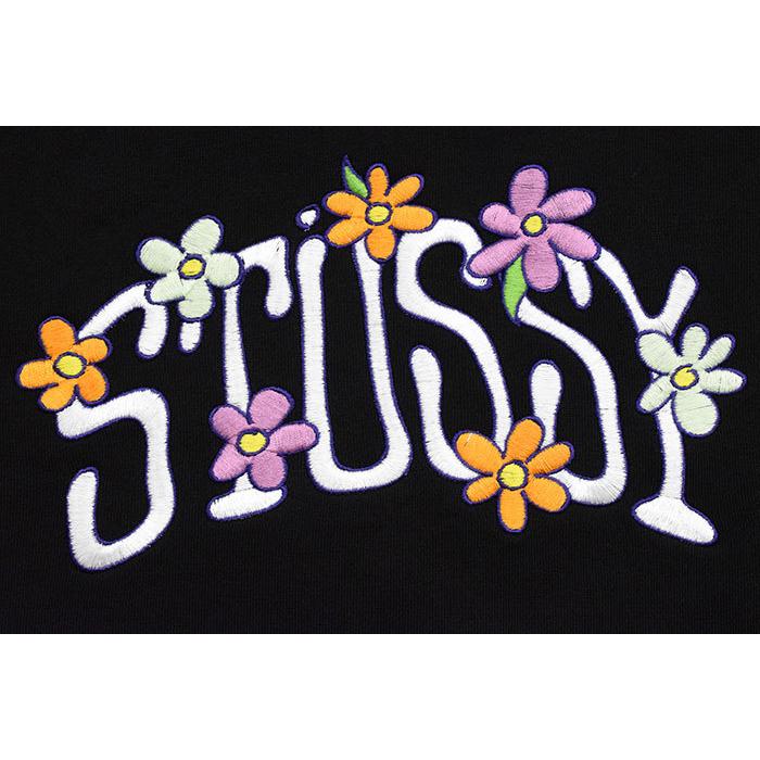 STUSSY（ステューシー） プルオーバー パーカー メンズ Collegiate