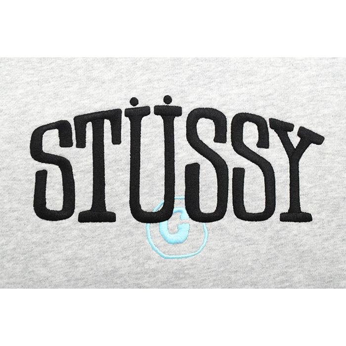 STUSSY（ステューシー） プルオーバー パーカー メンズ Stussy Circle