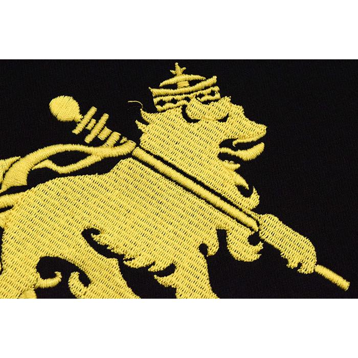 希少デザイン☆ステューシー 刺繍 センターロゴ LION パーカー L stussy ステューシー パーカー L 刺繍ロゴ ワンポイントロゴ ライオン