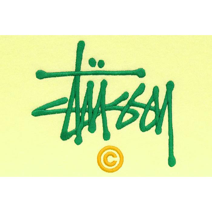 STUSSY（ステューシー） プルオーバー パーカー メンズ Stussy