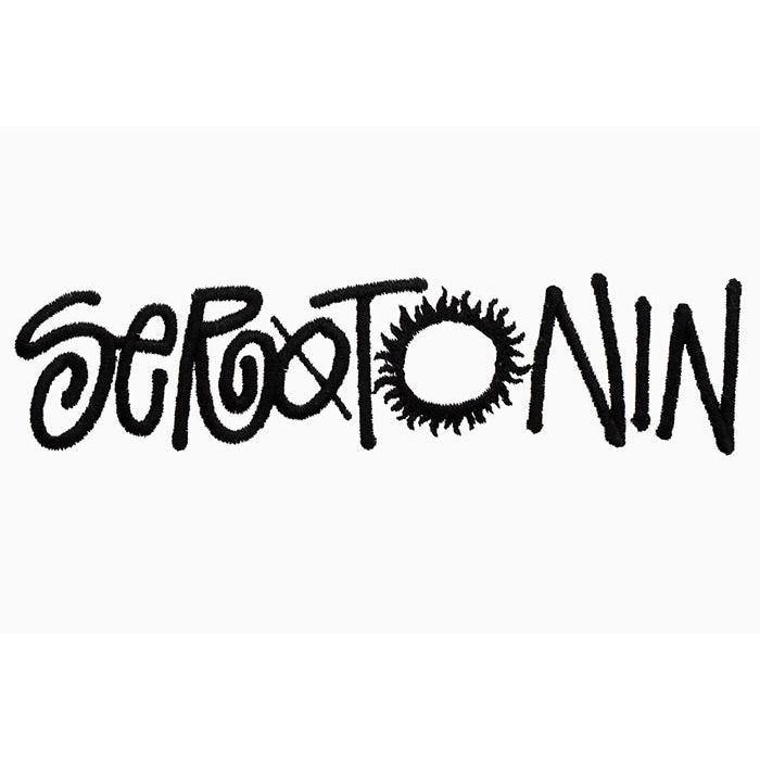 Stussy Serotonin Applique 刺繍 パーカー　XLサイズ STUSSY ステューシー パーカー プルオーバー メンズ Serotonin