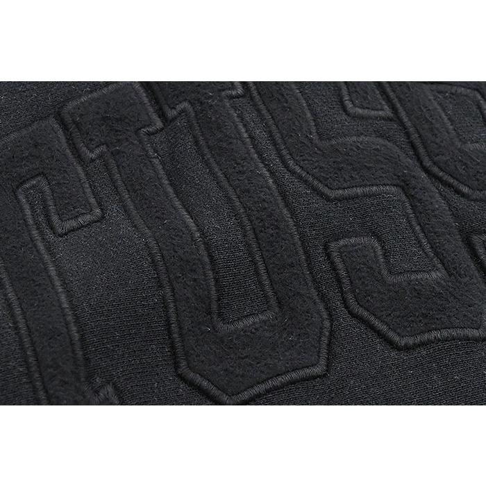 STUSSY ステューシー パーカー プルオーバー メンズ Embroidered