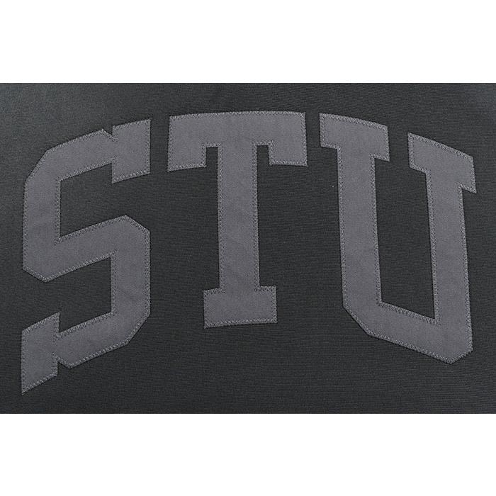 ステューシー なえなの着用モデル トレーナー スウェット M ブラック 裏起毛 stussy スウェット トレーナー