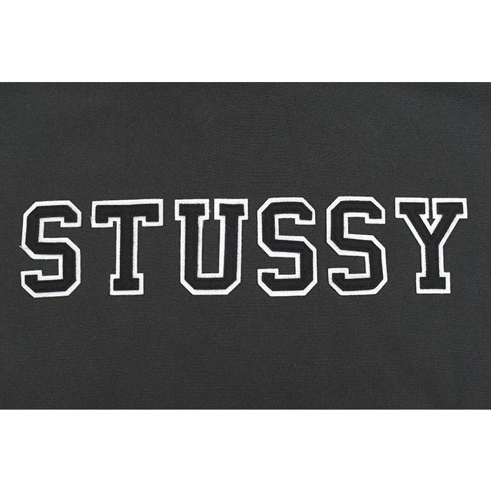 STUSSY（ステューシー） パーカー プルオーバー メンズ Stussy
