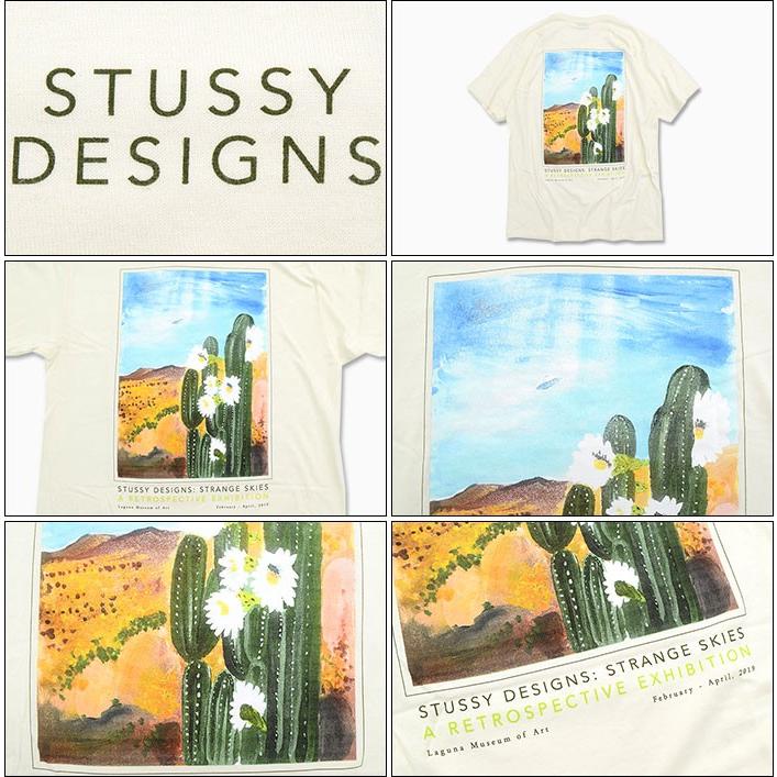 STUSSY ステューシー Tシャツ 半袖 メンズ Cactus Sky(stussy