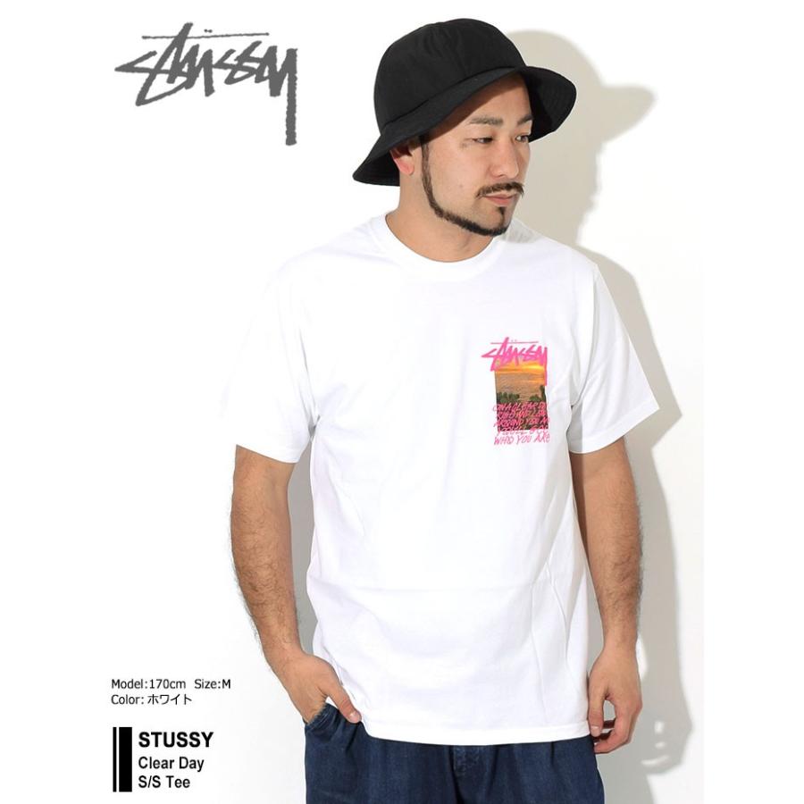 STUSSY ステューシー Tシャツ 半袖 メンズ Clear Day ( stussy