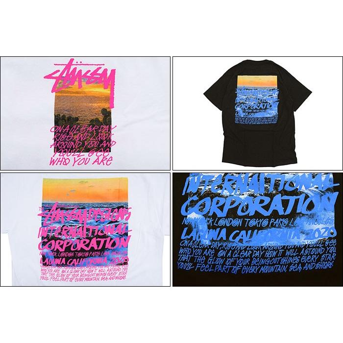 STUSSY ステューシー Tシャツ 半袖 メンズ Clear Day ( stussy STUSSY ステューシー Tシャツ 半袖 メンズ Clear Day ( stussy