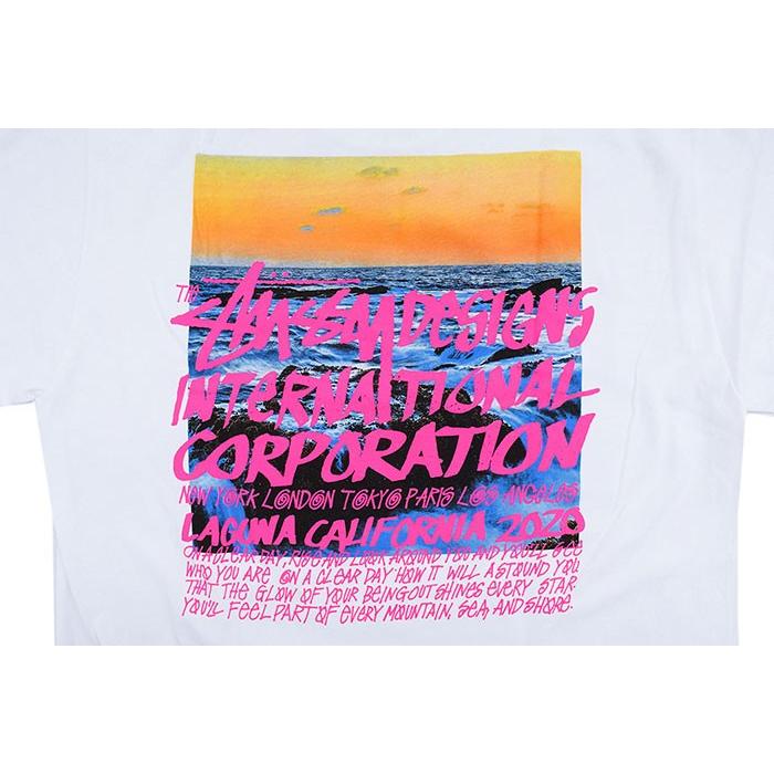 STUSSY（ステューシー） Tシャツ 半袖 メンズ Clear Day ( stussy tee