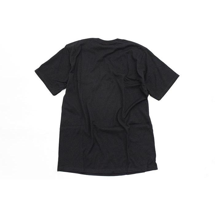 STUSSY ステューシー Tシャツ 半袖 メンズ Coastline ( stussy