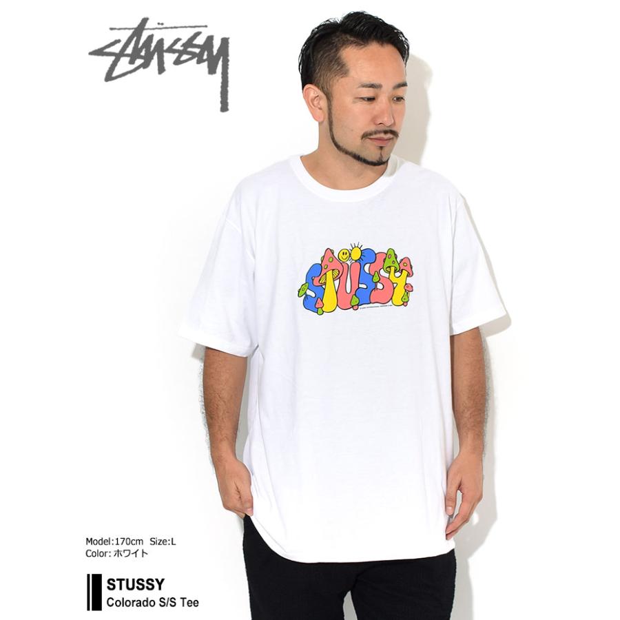 ステューシー Tシャツ 半袖 Stussy メンズ Colorado Stussy Tee T Shirts カットソー トップス 男性用 Usaモデル 正規 Ice Field 通販 Paypayモール