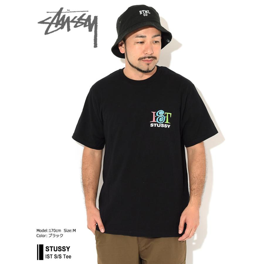 STUSSY（ステューシー） Tシャツ 半袖 メンズ IST ( stussy tee T