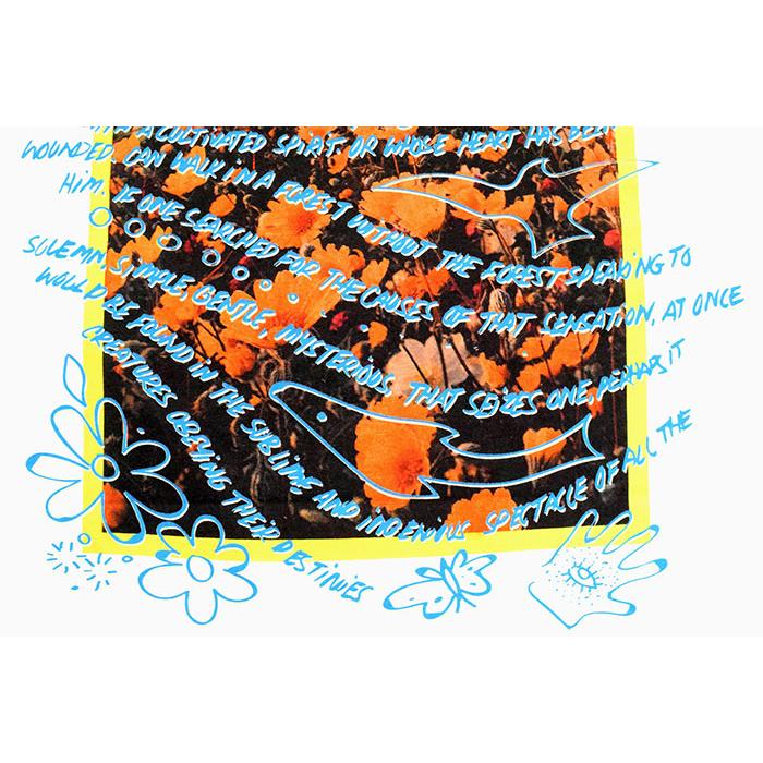 STUSSY（ステューシー） Tシャツ 半袖 メンズ Super Bloom ( stussy