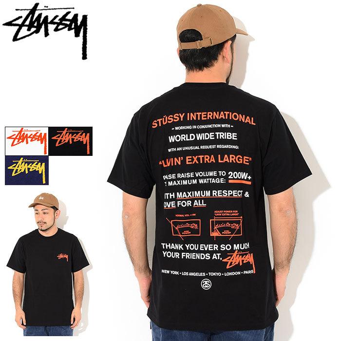 STUSSY（ステューシー） Tシャツ 半袖 メンズ Maximum Respect