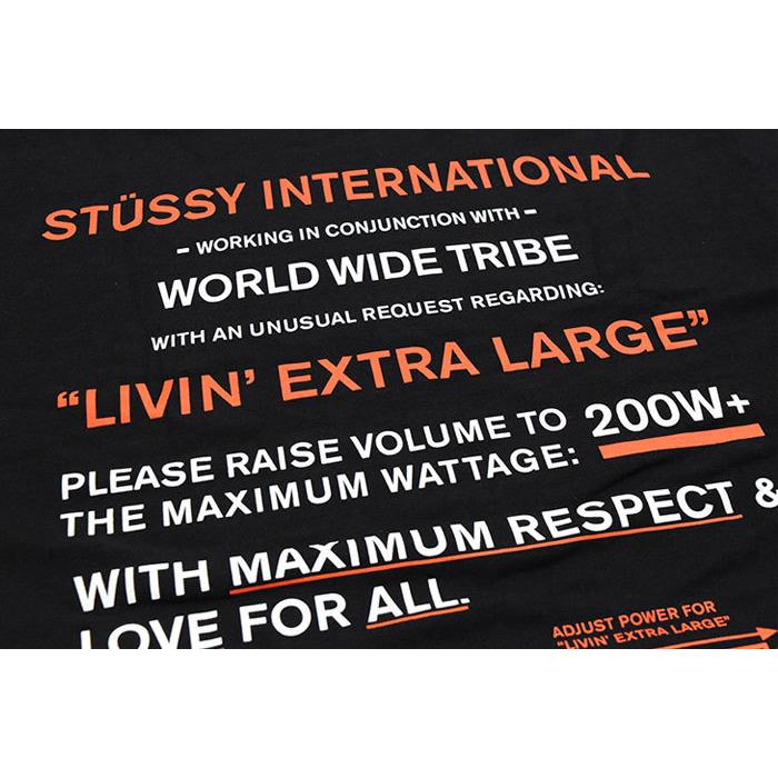 ステューシー Tシャツ 半袖 STUSSY メンズ Maximum Respect ( stussy tee T-SHIRTS カットソー トップス 男性用 1904626 USAモデル 正規 )｜icefield｜09