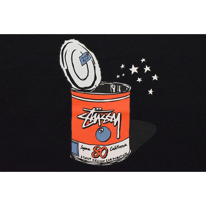 STUSSY（ステューシー） Tシャツ 半袖 メンズ Pop Top ( stussy tee T 
