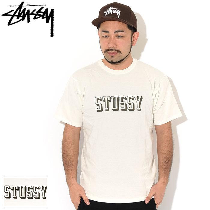 STUSSY（ステューシー） Tシャツ 半袖 メンズ 3D Collegiate Pigment