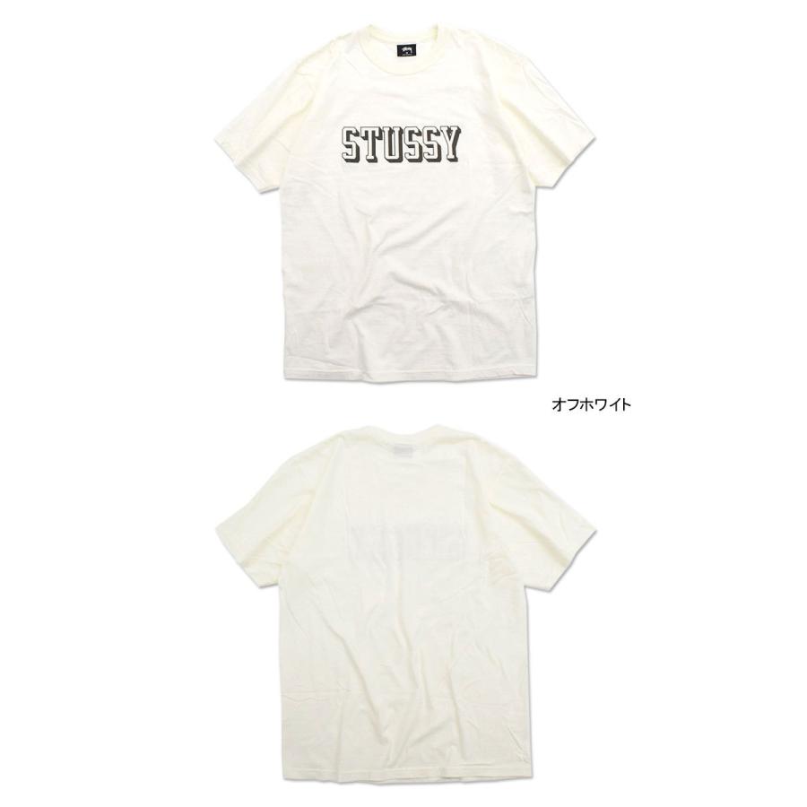 STUSSY（ステューシー） Tシャツ 半袖 メンズ 3D Collegiate Pigment