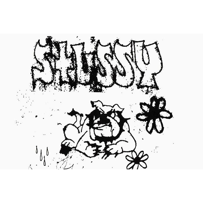 STUSSY ステューシー Tシャツ 半袖 メンズ & レディース Bad