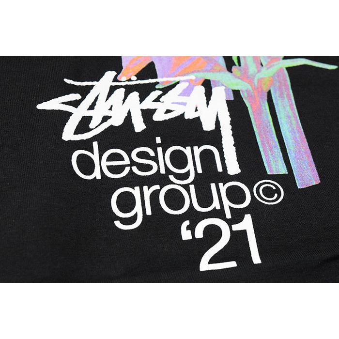 Stussy ステューシー アート　グラフィックTシャツ　メンズ　L レア STUSSY（ステューシー） Tシャツ 半袖 メンズ & レディース Design