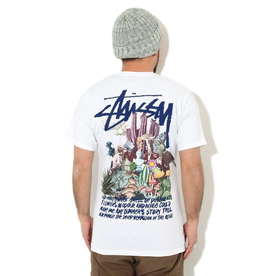 STUSSY（ステューシー） Tシャツ 半袖 メンズ & レディース