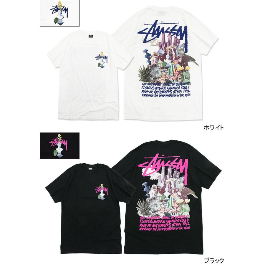 STUSSY（ステューシー） Tシャツ 半袖 メンズ & レディース