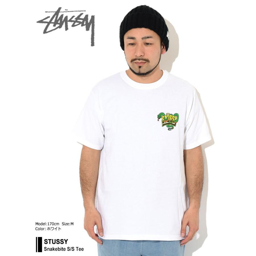 STUSSY（ステューシー） Tシャツ 半袖 メンズ & レディース Snakebite 