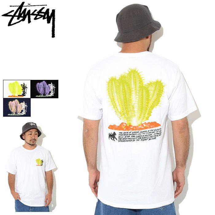 STUSSY ステューシー Tシャツ 半袖 メンズ & レディース Desert