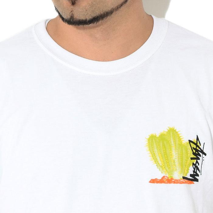 STUSSY ステューシー Tシャツ 半袖 メンズ & レディース Desert