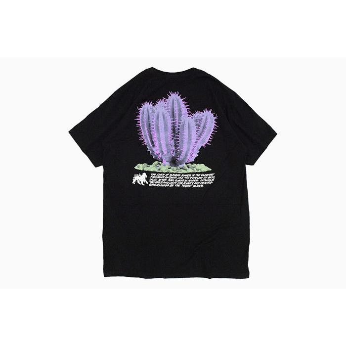 STUSSY ステューシー Tシャツ 半袖 メンズ & レディース Desert