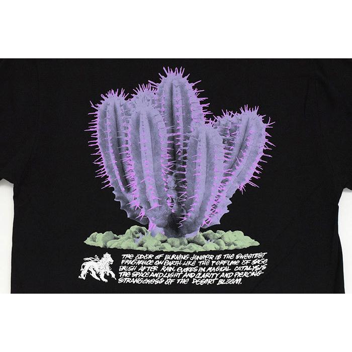 STUSSY ステューシー Tシャツ 半袖 メンズ & レディース Desert
