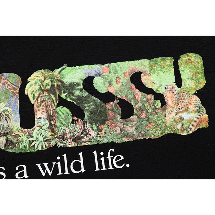 STUSSY ステューシー Tシャツ 半袖 メンズ & レディース Its A