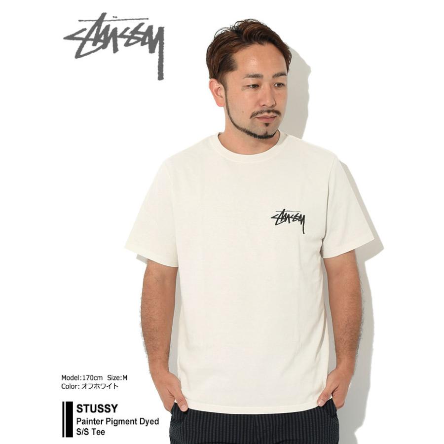 STUSSY ステューシー Tシャツ 半袖 メンズ & レディース Painter