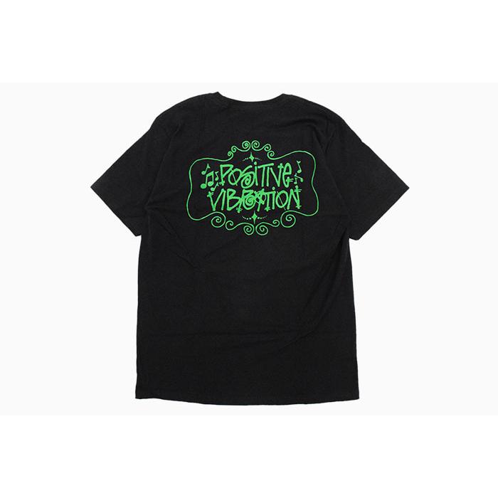 ストゥーシーTシャツ STUSSY（ステューシー） Tシャツ 半袖 メンズ Ladybug ( stussy tee T