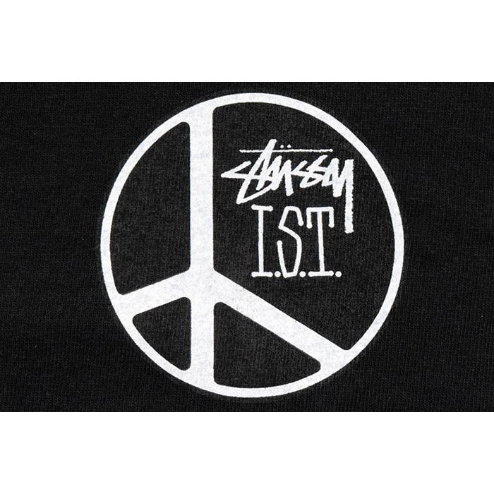 STUSSY（ステューシー） Tシャツ 半袖 メンズ & レディース Peace Dot