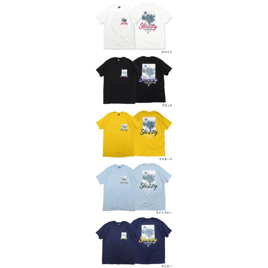 STUSSY（ステューシー） Tシャツ 半袖 メンズ & レディース Post