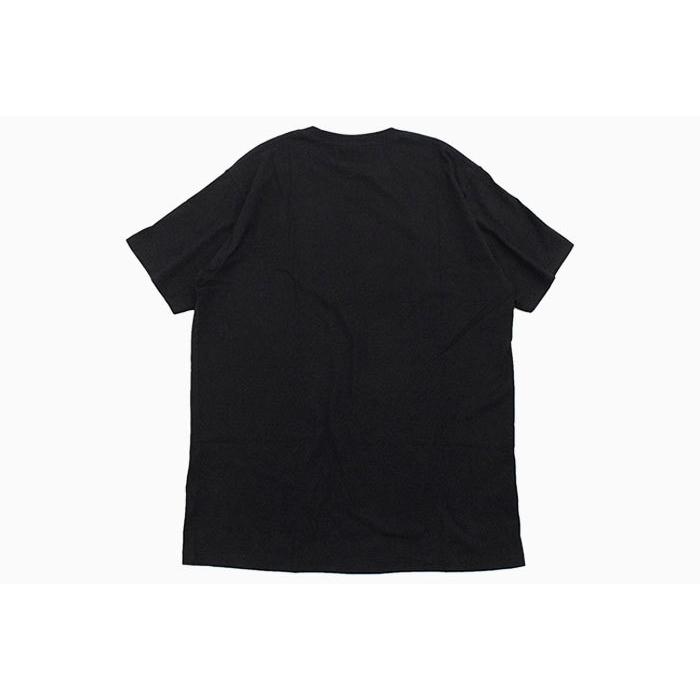 STUSSY ステューシー Tシャツ 半袖 メンズ Flames ( stussy tee