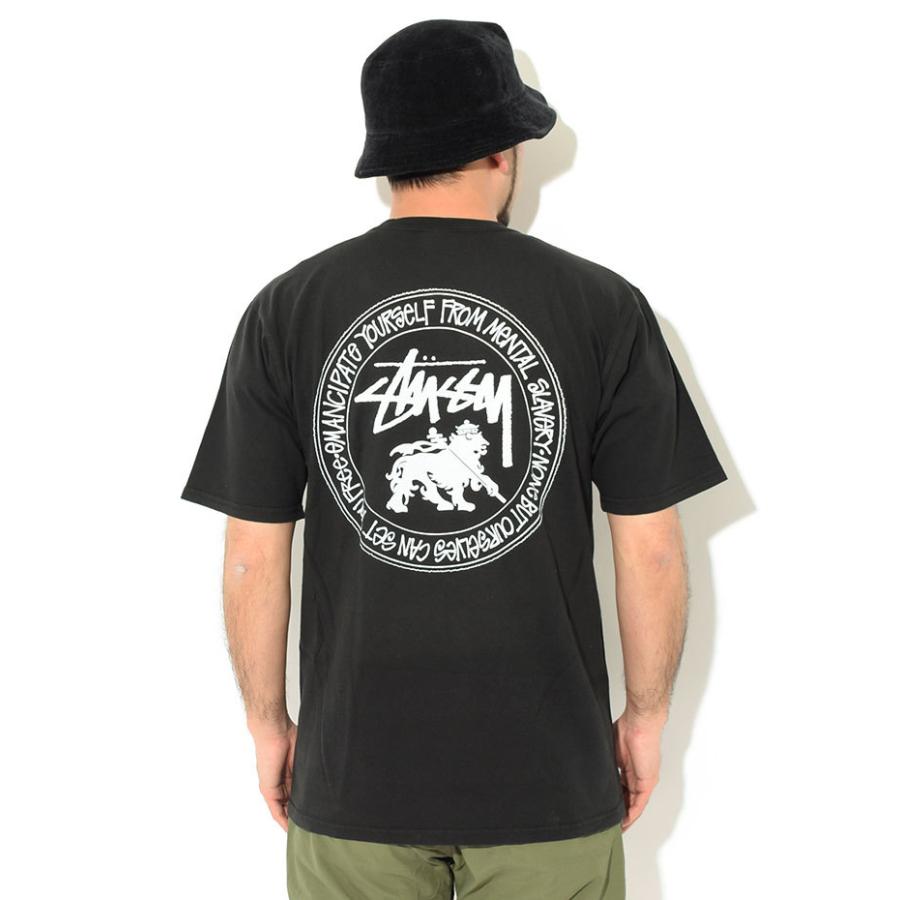 STUSSY ステューシー Tシャツ 半袖 メンズ Rasta Dot Pigment