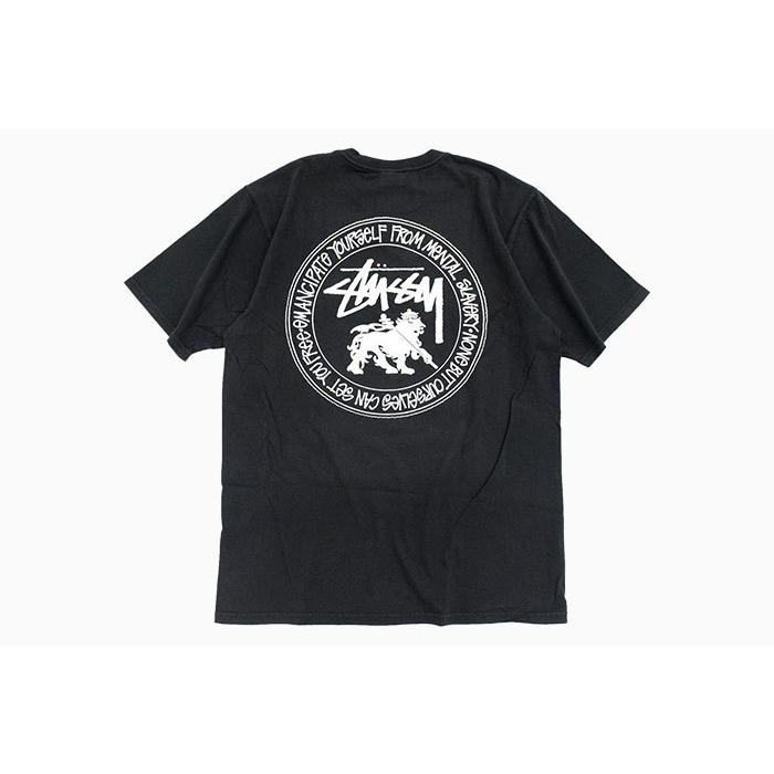 STUSSY ステューシー Tシャツ 半袖 メンズ Rasta Dot Pigment