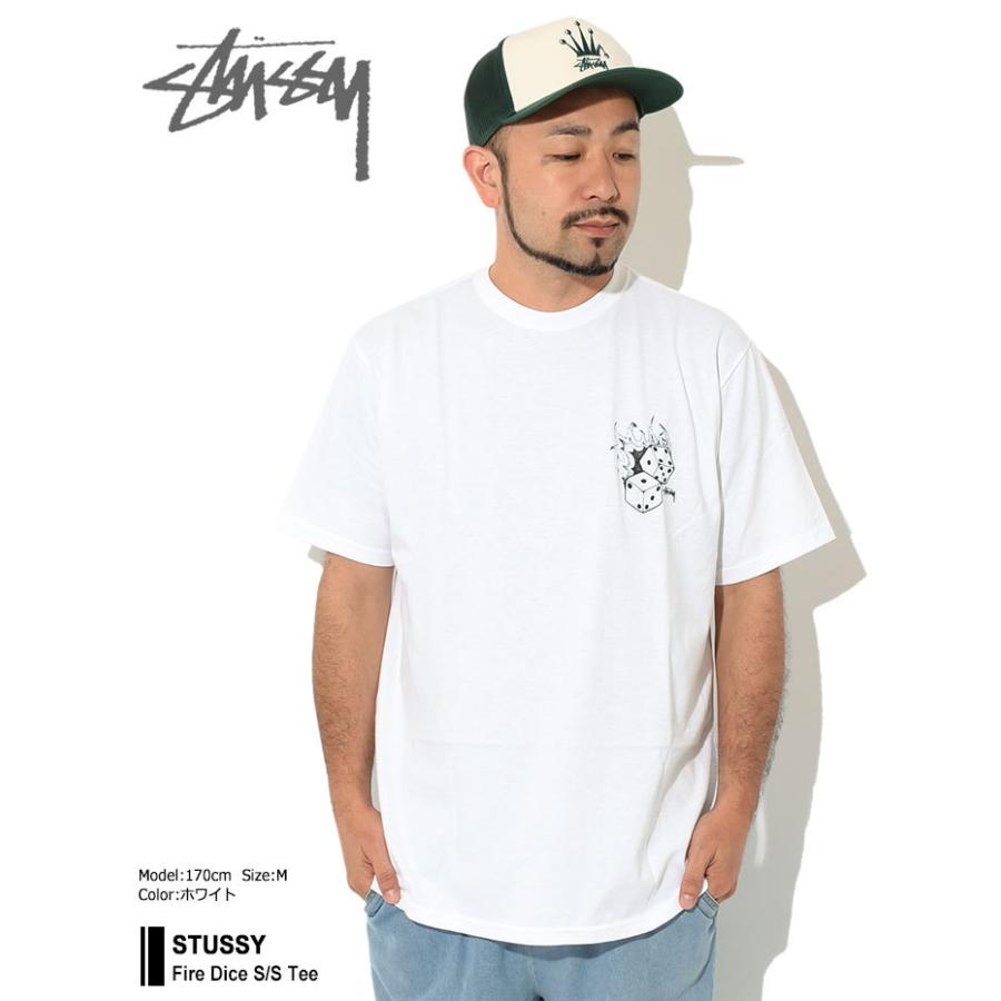STUSSY ステューシー Tシャツ 半袖 メンズ Fire Dice ( stussy