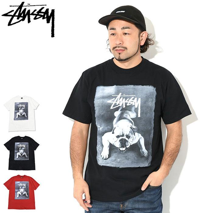 【希少】stussy ブルドック Tシャツ XL すぐ発送【Stussy】ブルドッグSSティー ゆったり着れる2XL手元有