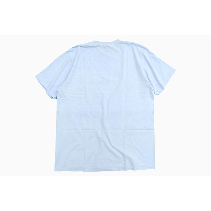 STUSSY（ステューシー） Tシャツ 半袖 メンズ Atticus Pigment Dyed