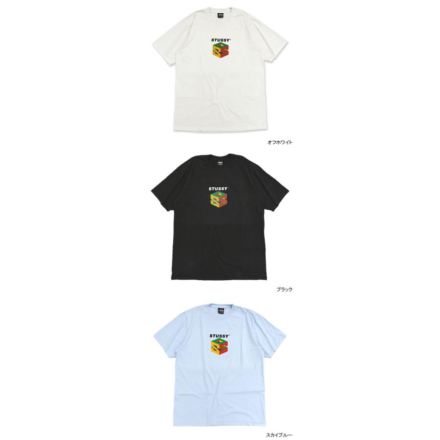 STUSSY ステューシー Tシャツ 半袖 メンズ S64 Pigment Dyed STUSSY ステューシー Tシャツ 半袖 メンズ S64 Pigment Dyed