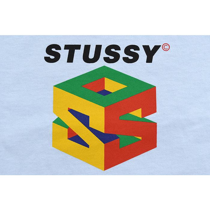 STUSSY（ステューシー） Tシャツ 半袖 メンズ S64 Pigment Dyed